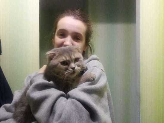 В Новокузнецке кошка выжила после падения с девятого этажа