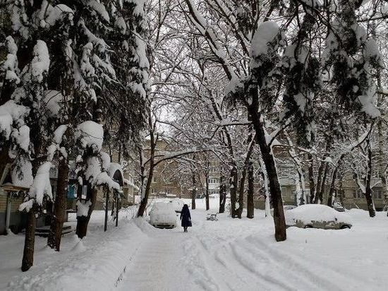 Снегопады и оттепель: погода в Омске на 1 марта