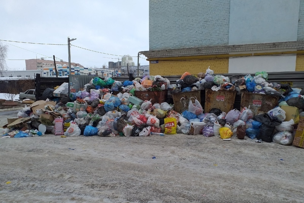 Рязанец пожаловался на забитые мусорные баки на улице Зубковой - МК Рязань