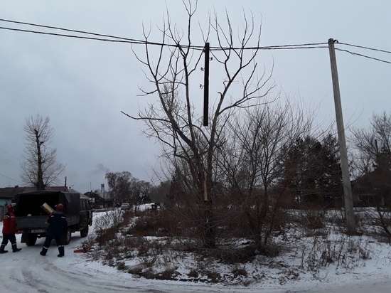 В Черногорске неизвестные спилили на дрова электрический столб