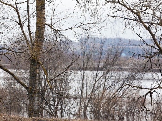 Около 30 населенных пунктов Владимирской области могут уйти под воду
