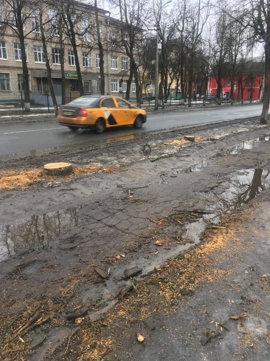 Начальник УГХ о сносе деревьев на Запсковье: «Будем продолжать»