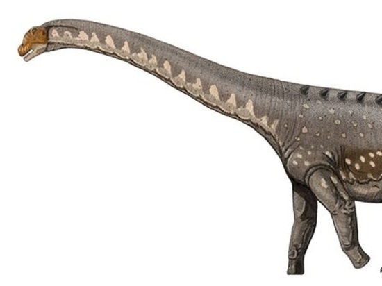 В Южной Америке найден древнейший титанозавр в мире