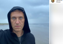 Алексей Навальный, находясь на лечении в Германии, как оказалось в грош не ставил предоставленную ему властями охрану