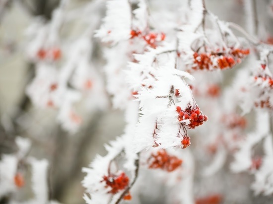 В Волгоградскую область придут снегопады и метель