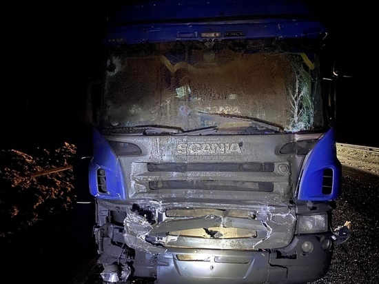 Двух водителей, находящихся между автомобилями, насмерть придавила фура в Ковровском районе