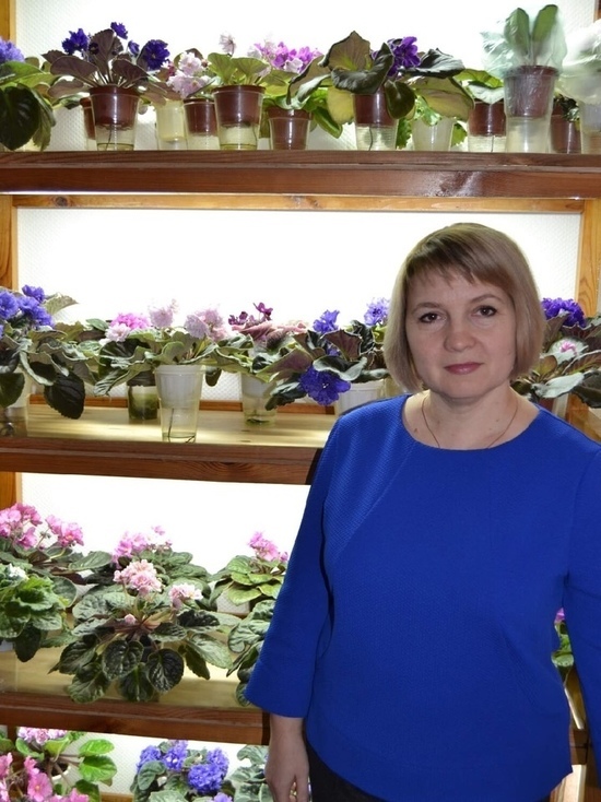 МК в Тамбове советует: коллекцию из более 45 сортов фиалок нельзя вырастить без любви