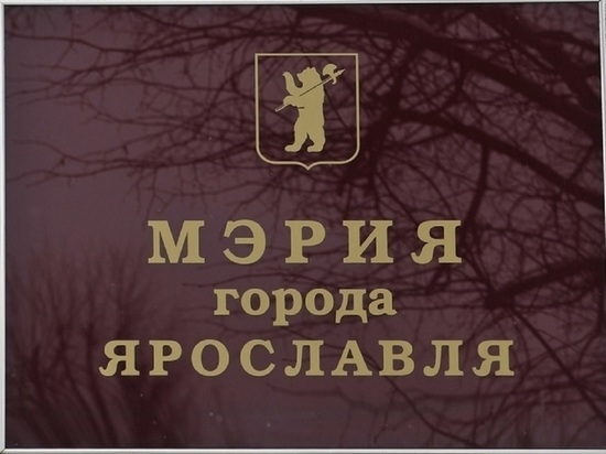 Мэрия Ярославля отозвала разрешение на строительство в лесопарке