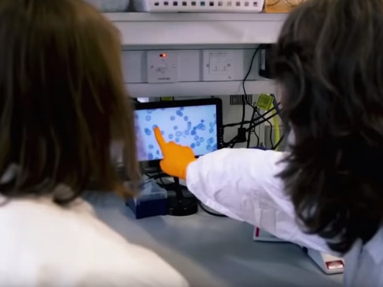 На Украине будет создана лаборатория по определению штаммов коронавируса