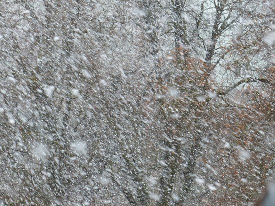 На Алтае был затруднен проезд к 147 населенным пунктам из-за снегопада
