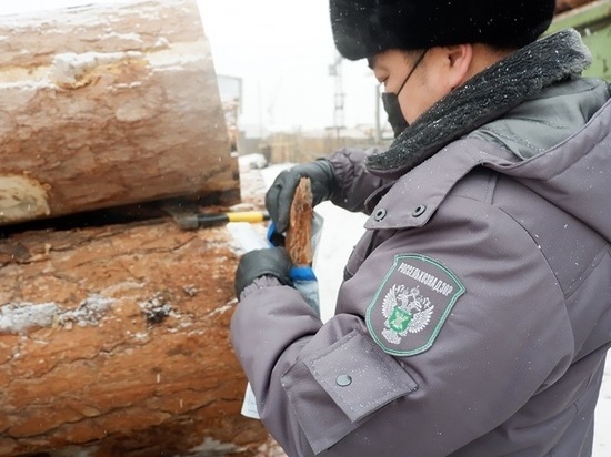 За февраль в Бурятии проверили свыше 30 тысяч кубов леса для Китая и Монголии