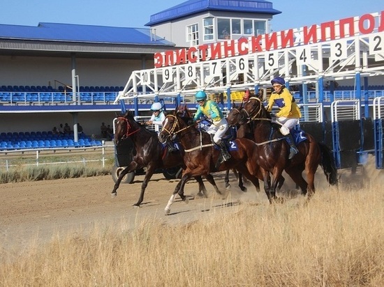 В Калмыкии возобновилась работа школы по конному спорту