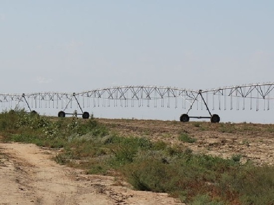 Калмыцким аграриям возместят часть затрат на мелиорацию земель