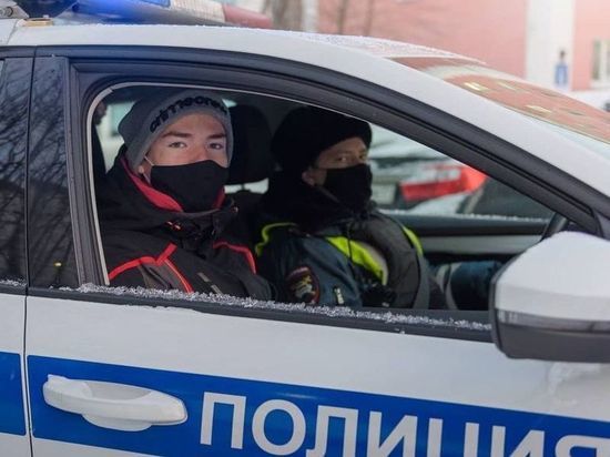 В Смоленской области стражи порядка задержали угонщика