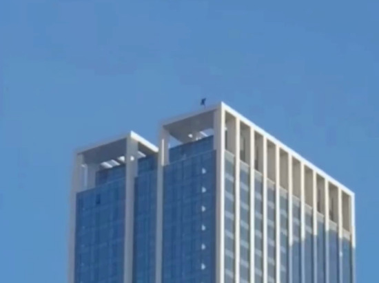 В Москве экстремалы прыгнули с парашютом с 52-го этажа