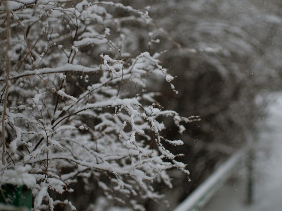 Снегопад, метель и штормовой ветер обещают в Рязанской области в воскресенье