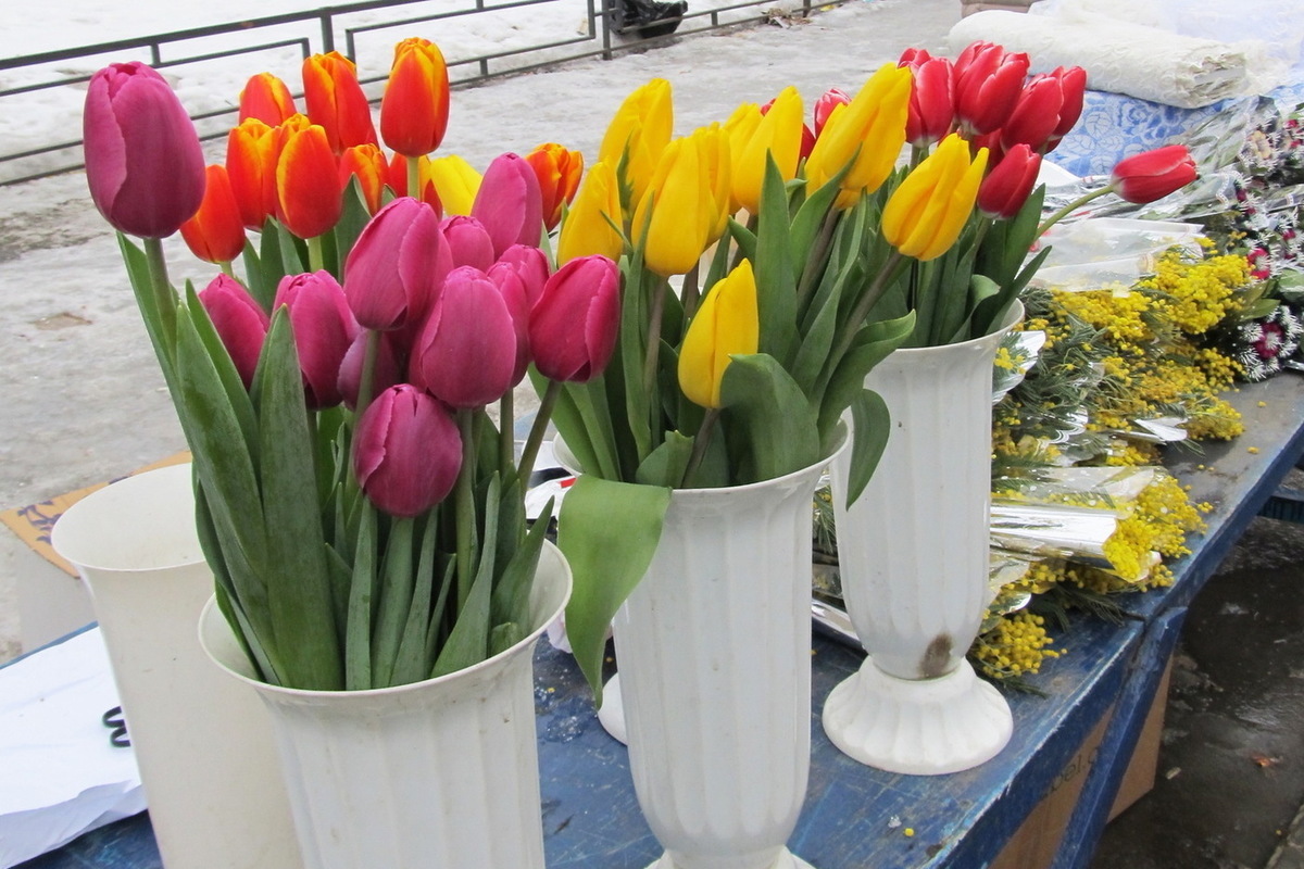 Сколько стоят цветы 2024. Подорожание цветов. Тюльпаны прибывают в Мариуполь.
