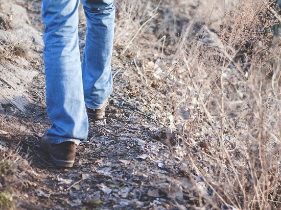 Более 200 человек пересекли линию разграничения в ДНР 5 марта