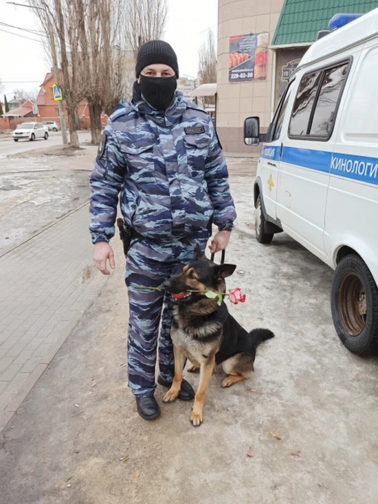 В Воронеже полицейские-кинологи присоединились к акции «8 Марта – в каждый дом»