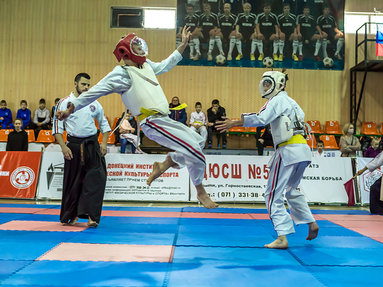 Международный турнир по косики каратэ завершился в Донецке