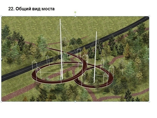 Проект дендропарка со спиральным мостом в Академгородке представили в ИРНИТУ