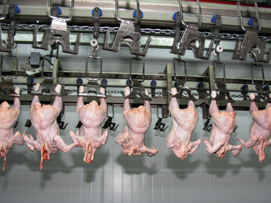 СМИ: В России заморозят цены на мясо птицы