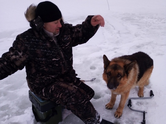 Тонущую собаку спасли рыбаки под Бугринским мостом в Новосибирске