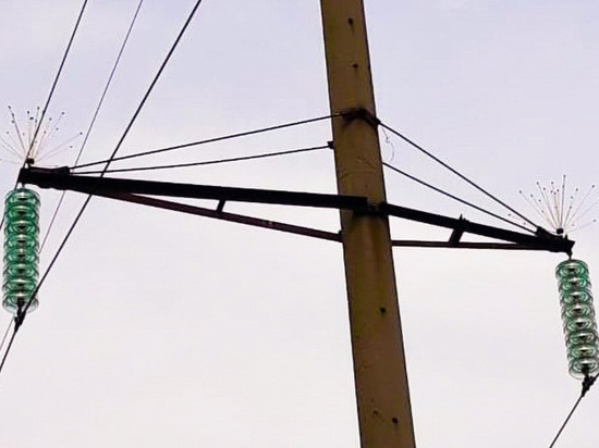 В краснодарском энергорайоне установят почти 500 птицезащитных устройств на ЛЭП
