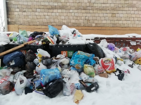 Петрозаводчане пожаловались на контейнеры, «утопающие» в мусоре
