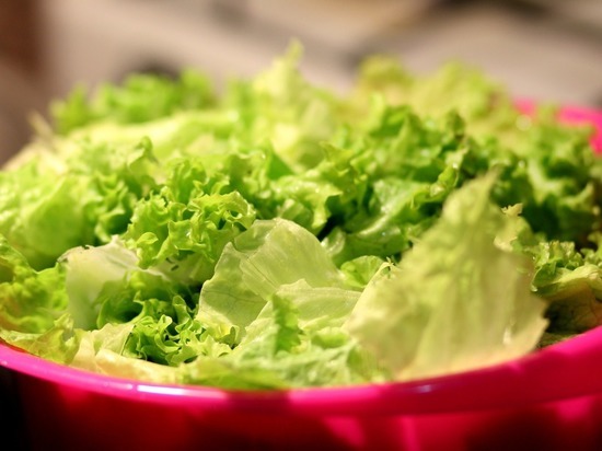 В Красноярске количество школ с зараженным иерсиниозом салатом выросло до 27