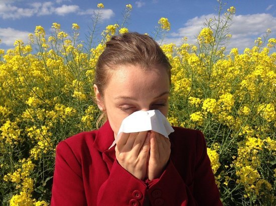 Германия: пыльца в воздухе повышает риск инфицирования коронавирусом
