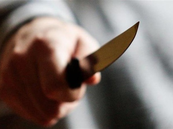 Жителя Хакасии заключили под стражу за то, что угрожал ножом полицейским