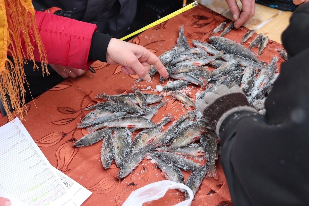Новости Карельского клуба рыбаков | Рыболовные события, акции и мероприятия