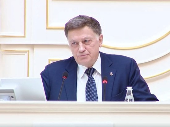 Макаров поговорил о депутате Резнике с руководством МВД Петербурга