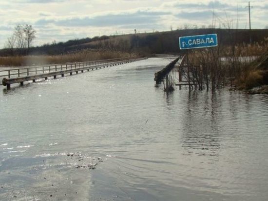 Воронежский губернатор поручил расчистить реку Савалу