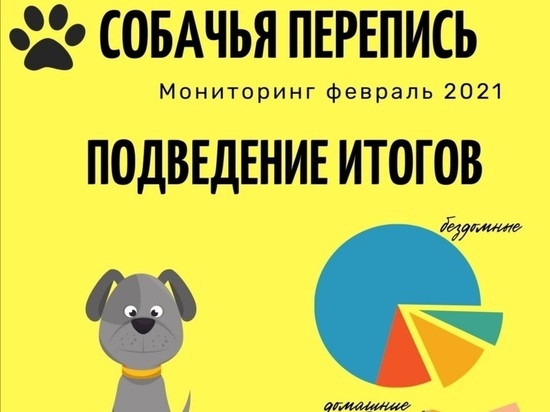Почти 300 бродячих псов: в Лабытнанги рассказали об итогах переписи собачьего населения