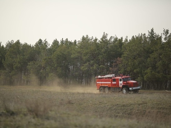 Рослесхоз поручил вовремя открыть пожароопасный сезон в Астраханской области