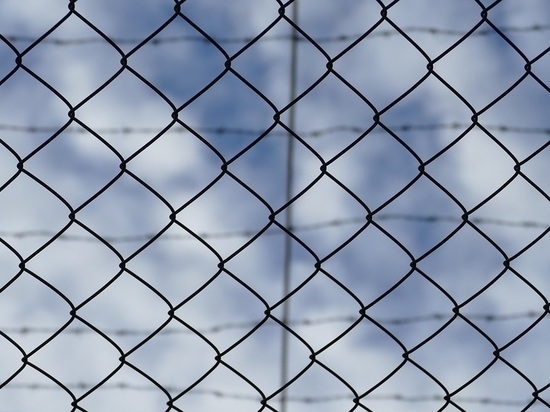 Полицейские в Смоленской области раскрыли тайну исчезнувшего телефона