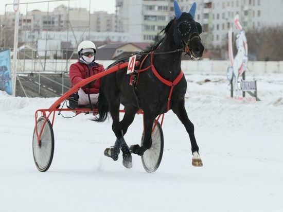 На зимних бегах омского ипподрома выиграли Линза, Упрёк и Садко