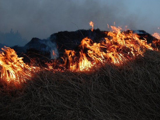 Пожарные защитили от палов травы два села в Забайкалье