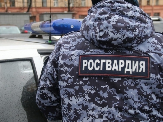 20-летний житель Новосокольников похитил из магазина водку