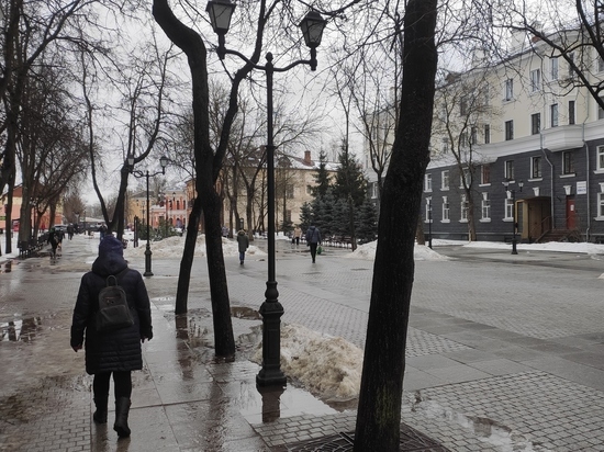 Мокрый снег обещают псковские синоптики 15 марта