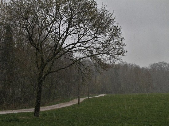 Погода в понедельник в Смоленской области может оказаться дождливой