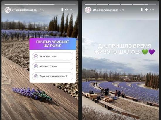 В парке Галицкого рассказали, почему отключили мерцающий шалфей