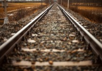 Руководство Быстринского горно-обогатительного комбината планирует полностью завершить строительство железной дороги от Борзи до предприятия к 2022 году