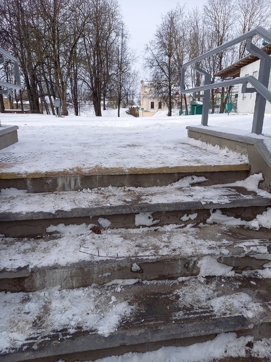 Лестницу в Ботаническом саду подрядчик отремонтирует за свой счёт