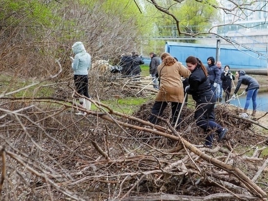 В Краснодаре начался марафон по наведению санитарного порядка