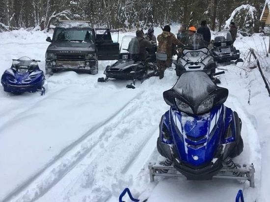 В Твери не выпустили из СИЗО обвиняемых в жесткой расправе над лосихой