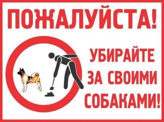 Ярославцы написали Путину о собачьих какашках