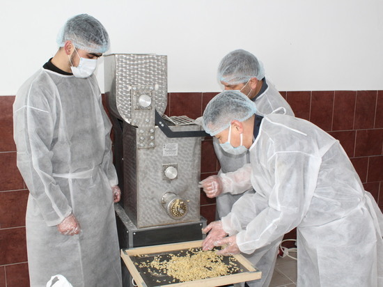 В Калмыкии в исправительной колонии будут производить макароны